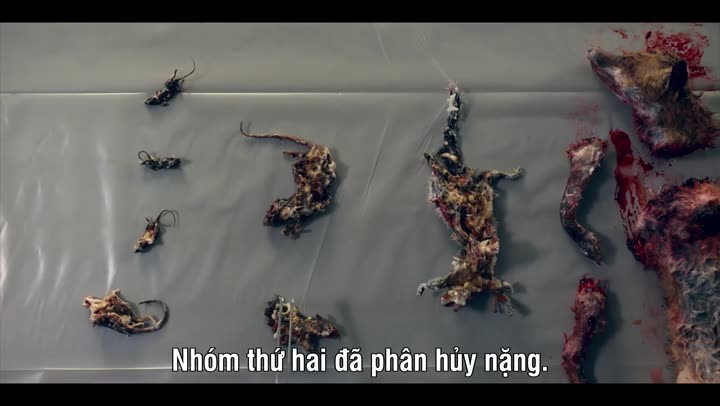 Tập 4 phim Chuyên Gia Pháp Y (Phần 1)