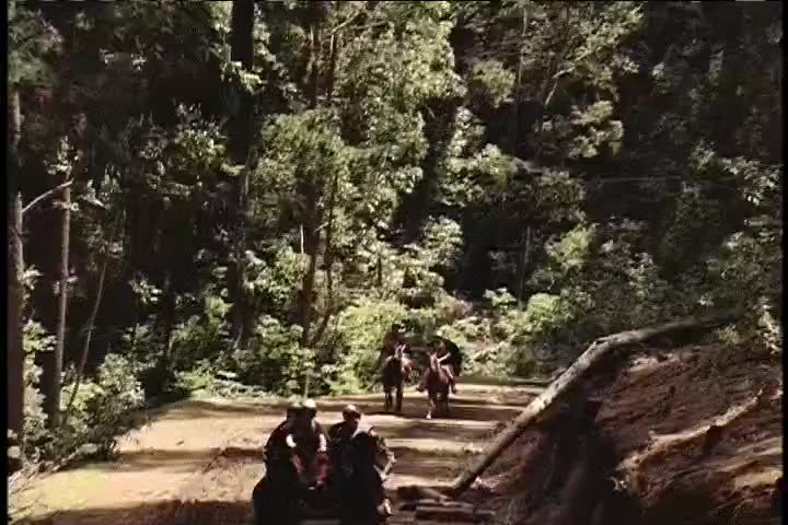Tập 13 phim Những Cuộc Phiêu Lưu Của Sinbad (Phần 1)