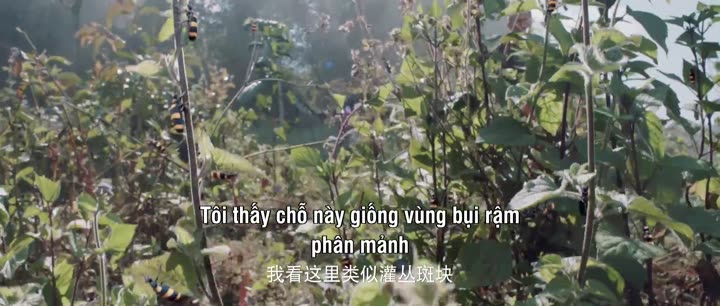 Hình ảnh tập 13 Minh Châu Kỳ Đàm (Phần 2)