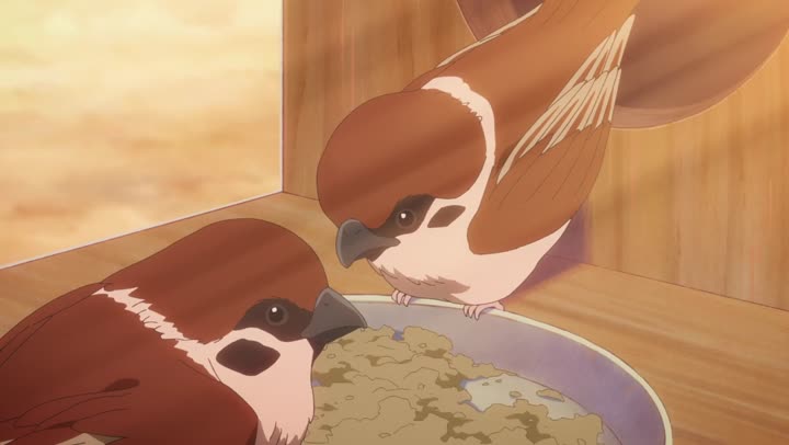 Tập 11 phim Ranma1/2